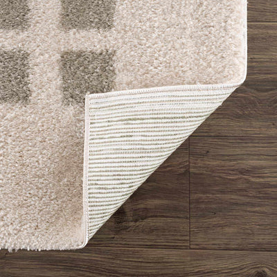 Baback Gray Washable Area Rug