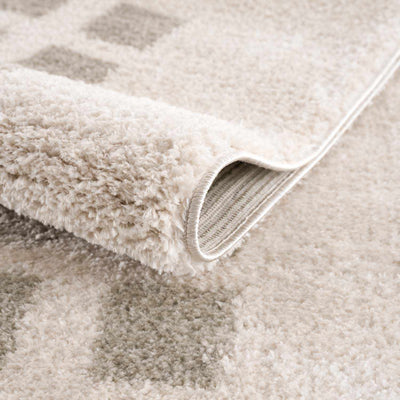 Baback Gray Washable Area Rug