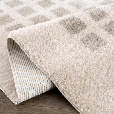 Baback Gray Washable Area Rug