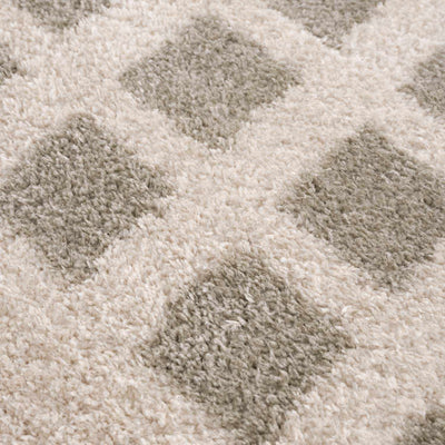 Baback Gray Washable Area Rug