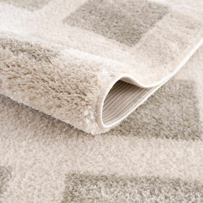 Beynon Gray Washable Area Rug