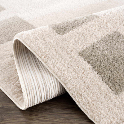 Beynon Gray Washable Area Rug