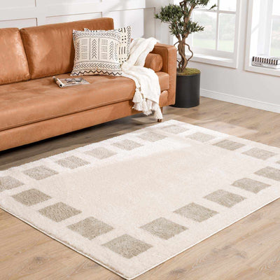 Beynon Gray Washable Area Rug