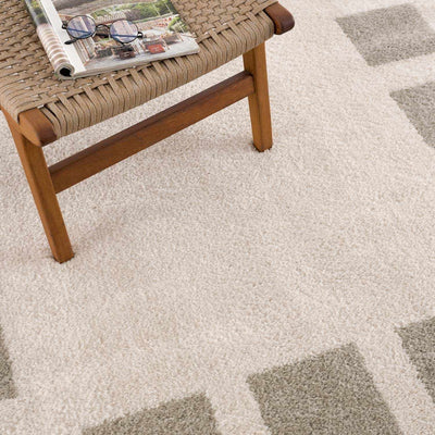 Beynon Gray Washable Area Rug