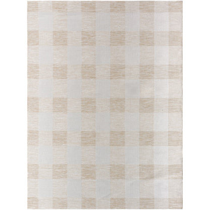 BIDDI Indoor & Outdoor Modern Light Brown Checkered Area Rug Flat