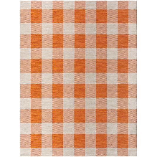BIDDI Indoor & Outdoor Modern Burnt Orange Checkered Area Rug Flat