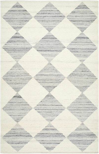 Andrin Light Gray Area Rug - Vivir x Livabliss