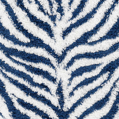 Sample Chaim Zebra Print Shag Area Rug