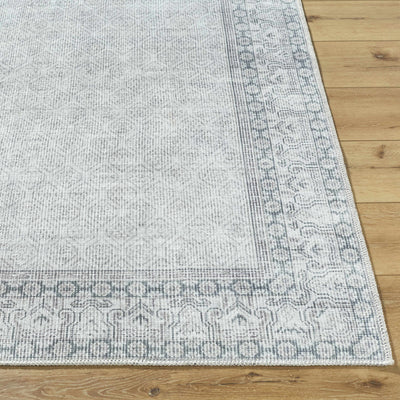 Cloris Gray Washable Area Rug