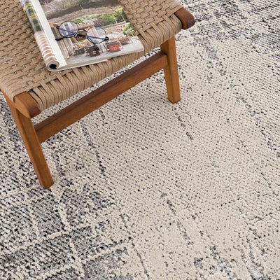 Colson Gray Area Rug