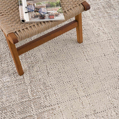 Colson Sage Area Rug