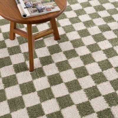 Canika Green Checkered Washable Area Rug