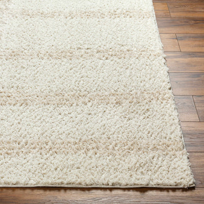 Sample Cong Area Rug