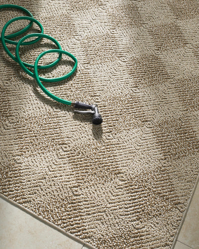 Collen Area Rug