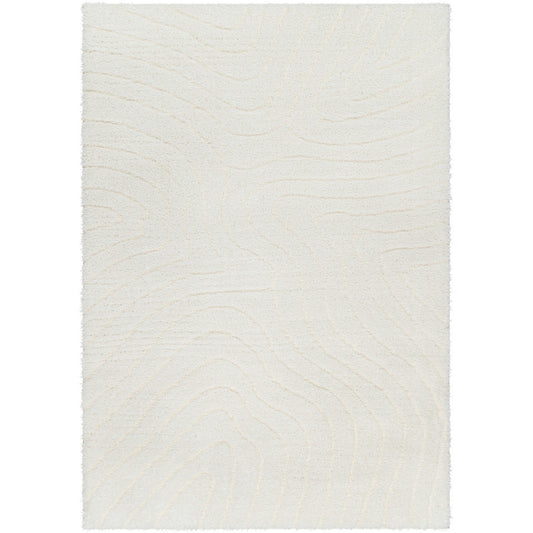 DANAE Shaggy Modern Plush Pile Light Beige Area Rug Flat