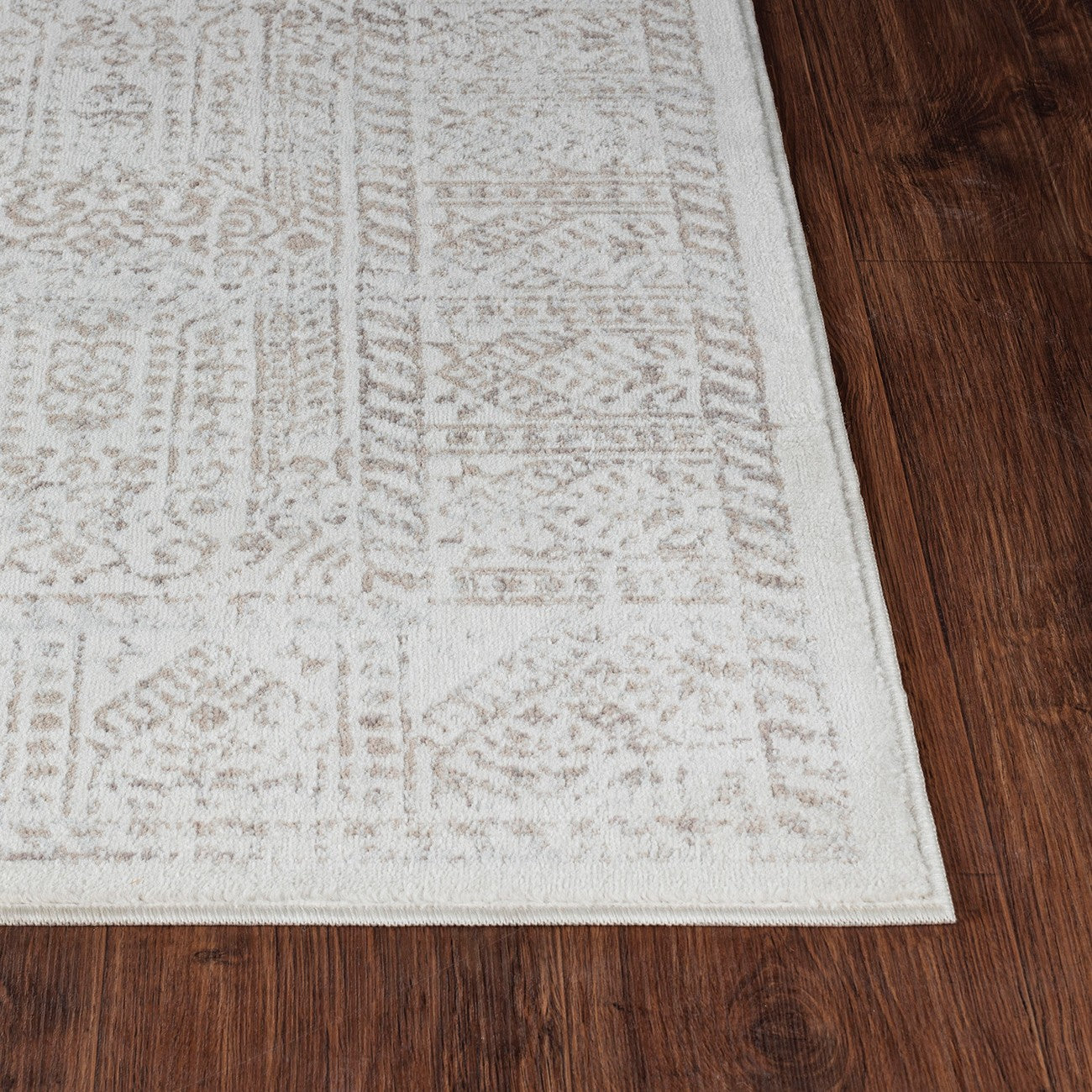 DANIA Vintage Traditional Oriental Boho Tan/Grey Area Rug Front