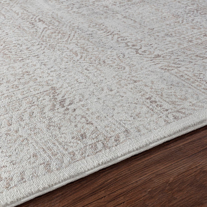 DANIA Vintage Traditional Oriental Boho Tan/Grey Area Rug Texture
