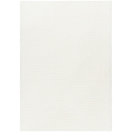 DARIANA Shaggy Modern Plush Pile Ivory Area Rug Flat