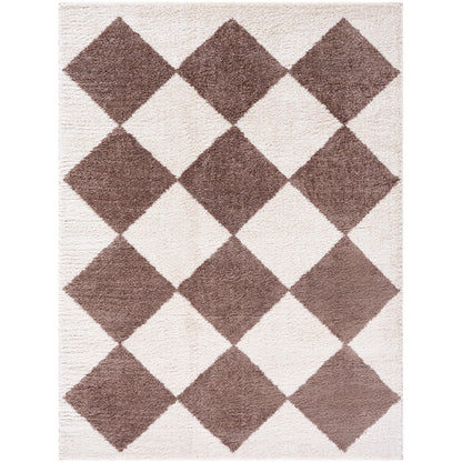 DELINE Machine Washable Modern Shaggy Dark Brown Area Rug Flat