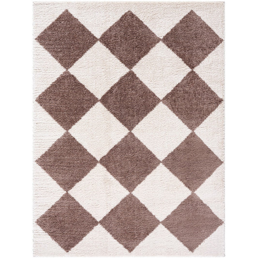 DELINE Machine Washable Modern Shaggy Dark Brown Area Rug Flat