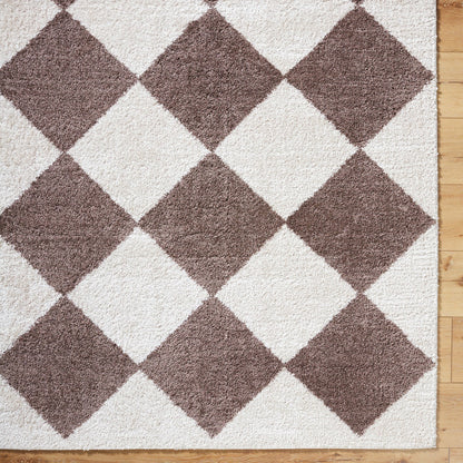 DELINE Machine Washable Modern Shaggy Dark Brown Area Rug Overhead