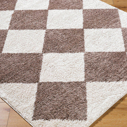 DELINE Machine Washable Modern Shaggy Dark Brown Area Rug Corner