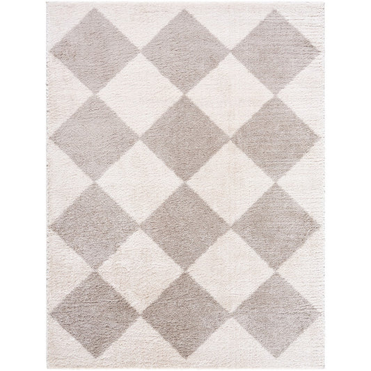 DELINE Machine Washable Modern Shaggy Medium Grey Area Rug Flat