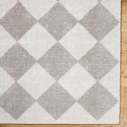 DELINE Machine Washable Modern Shaggy Medium Grey Area Rug Overhead