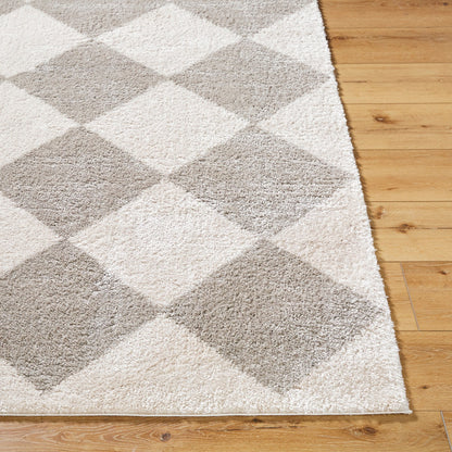 DELINE Machine Washable Modern Shaggy Medium Grey Area Rug Front