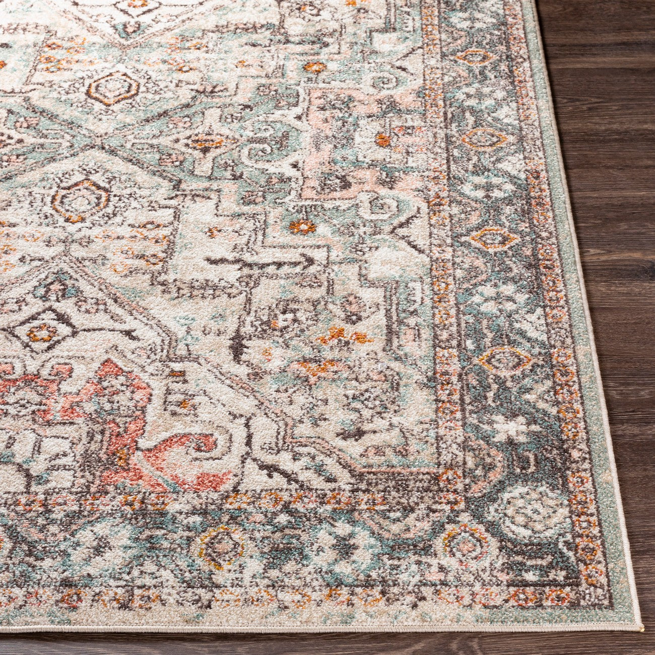 DIA Vintage Traditional Oriental Boho Brick Area Rug Front