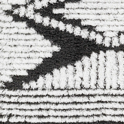 Sample Dosia Shag Area Rug