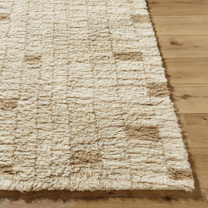 Anusha Area Rug