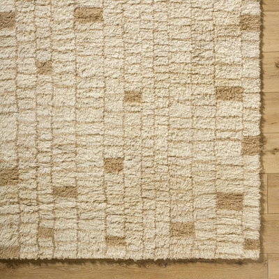 Anusha Area Rug