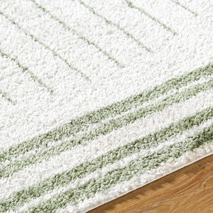 ENSO3 Machine Washable Modern Shaggy Grass Green Area Rug Texture