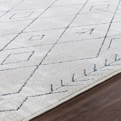 FABIA Berber Modern Blue Area Rug Texture