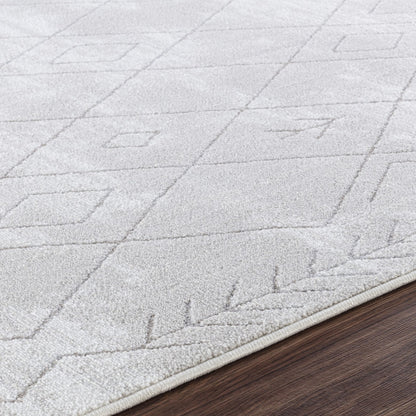 FABIA Berber Modern Grey Area Rug Texture