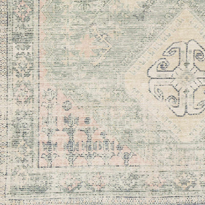 Sample Foraker Area Rug