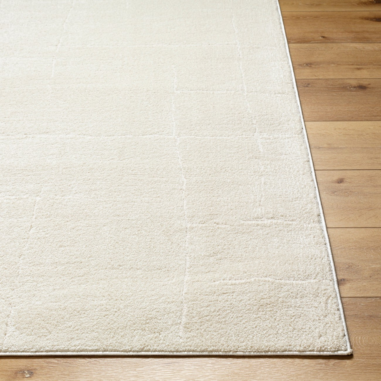 AVA Scandi Modern High Pile Ivory/Off-White Area Rug Front