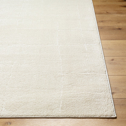 AVA Scandi Modern High Pile Ivory/Off-White Area Rug Front