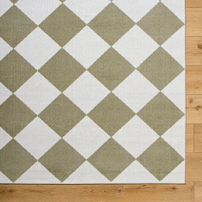 GHISLAINE Machine Washable Modern Boho Diamond Dusty Sage Area Rug Overhead