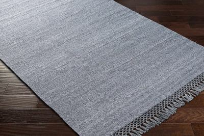 Eagletown Flatweave Performance Rug