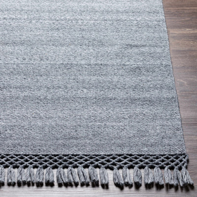 Eagletown Flatweave Performance Rug