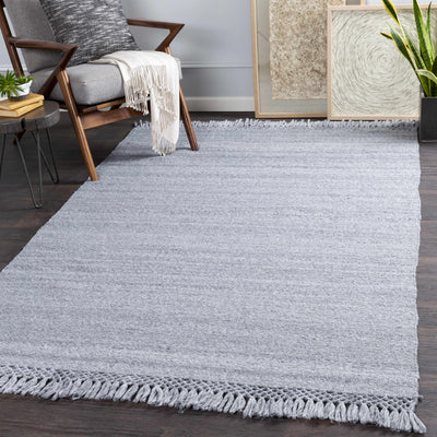 Eagletown Flatweave Performance Rug