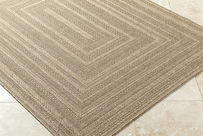 Avalos Brown Area Rug