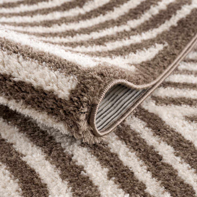 Allard Brown Washable Area Rug