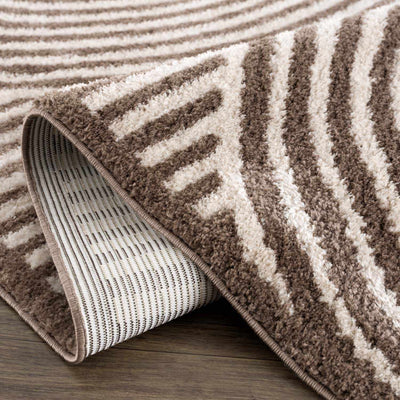 Allard Brown Washable Area Rug