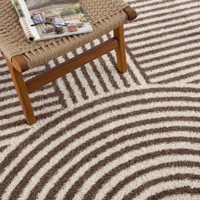 Allard Brown Washable Area Rug