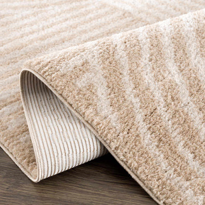 Allard Beige Washable Area Rug