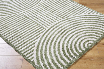 Allard Green Washable Area Rug