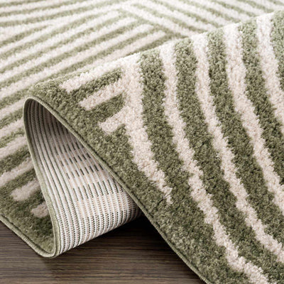 Allard Green Washable Area Rug